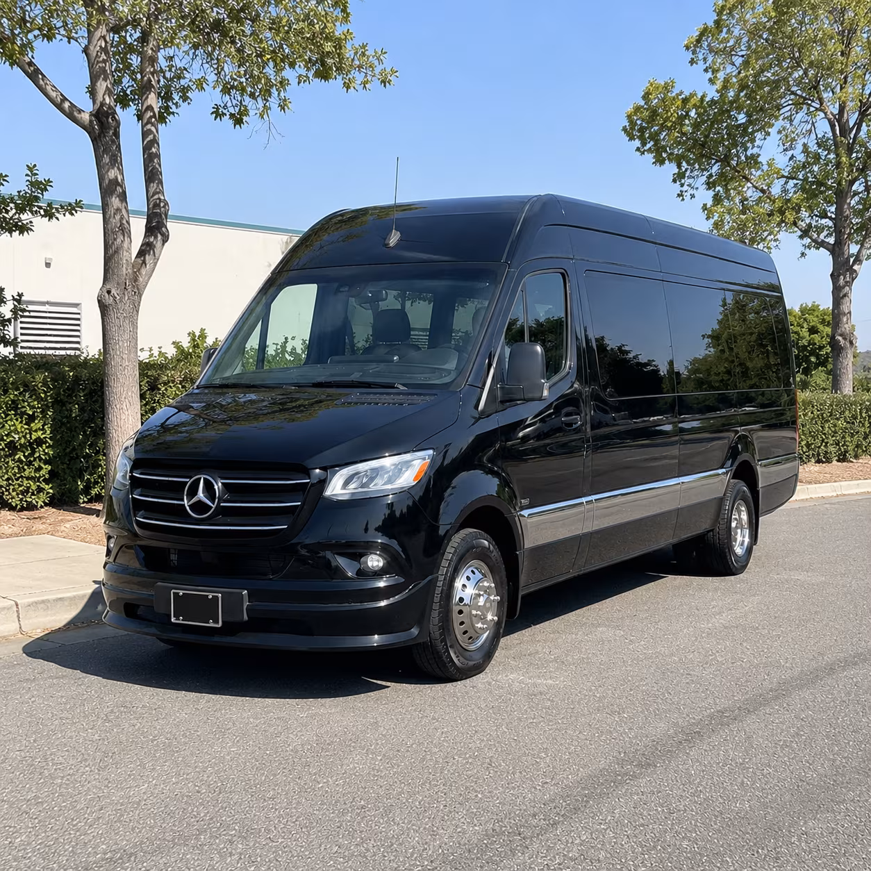 anchorage 8 passenger sprinter van