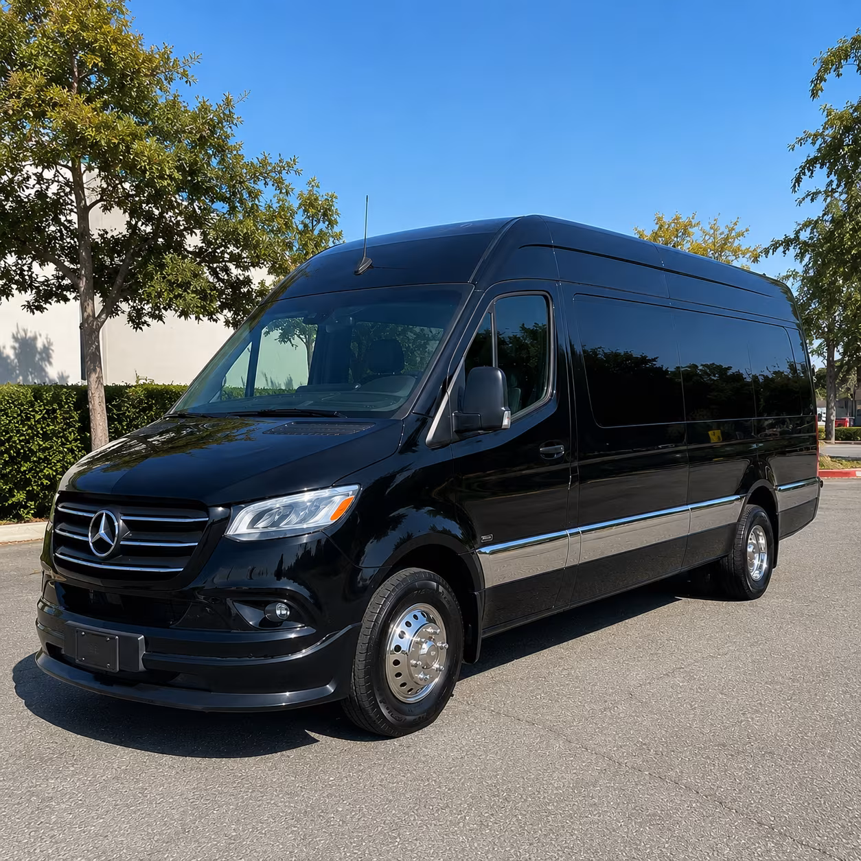 Anchorage Birthday Transportation